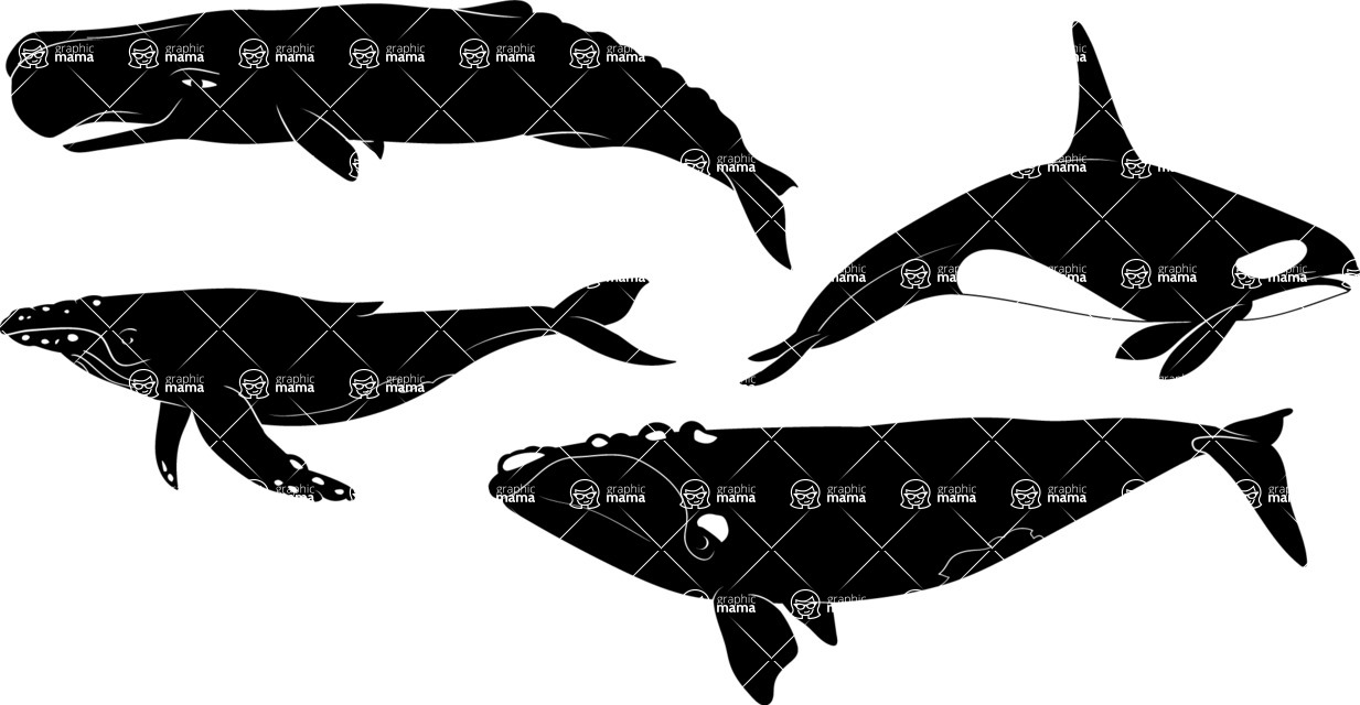 Vector silhouettes - Vector Whale Silhouettes Set